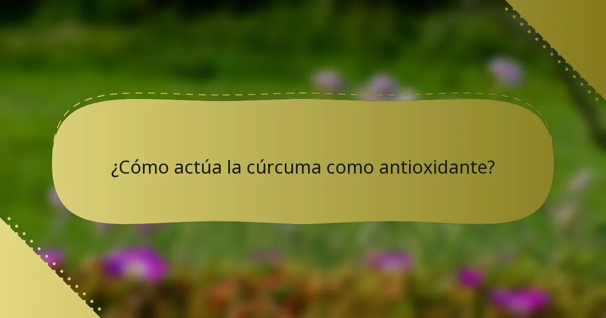 ¿Cómo actúa la cúrcuma como antioxidante?