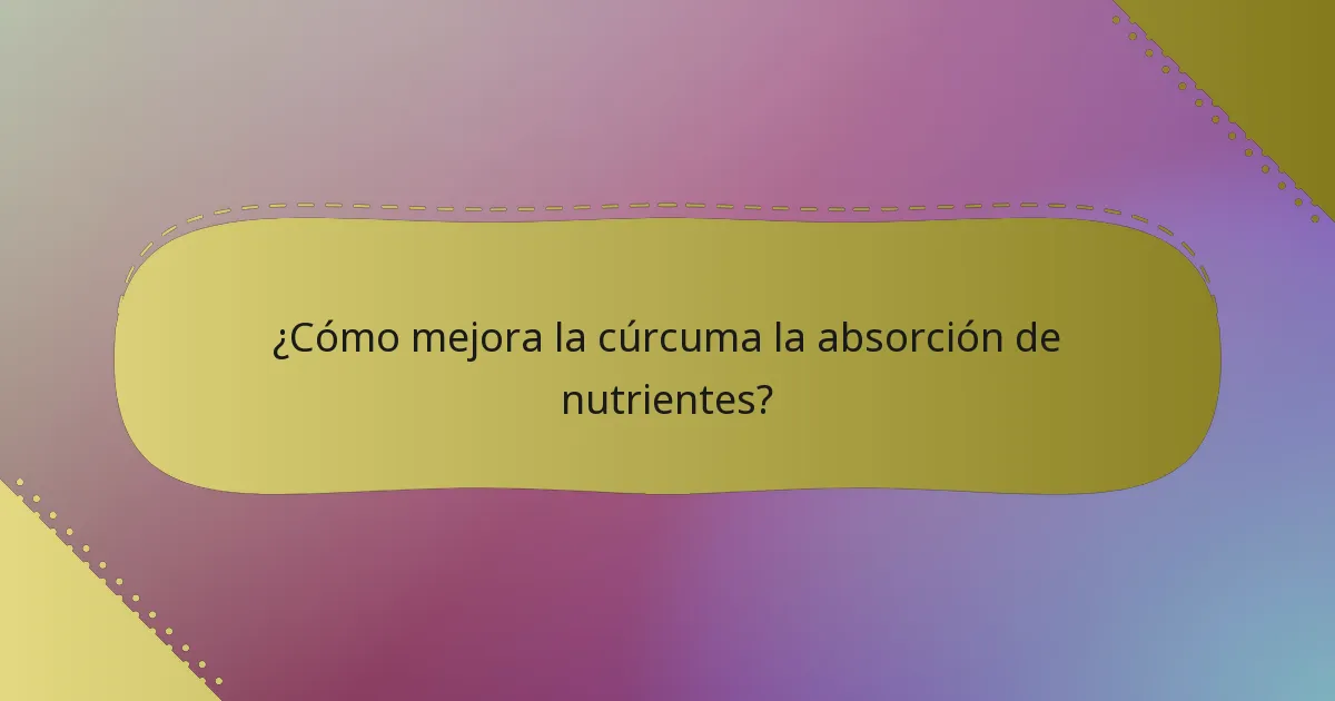 ¿Cómo mejora la cúrcuma la absorción de nutrientes?