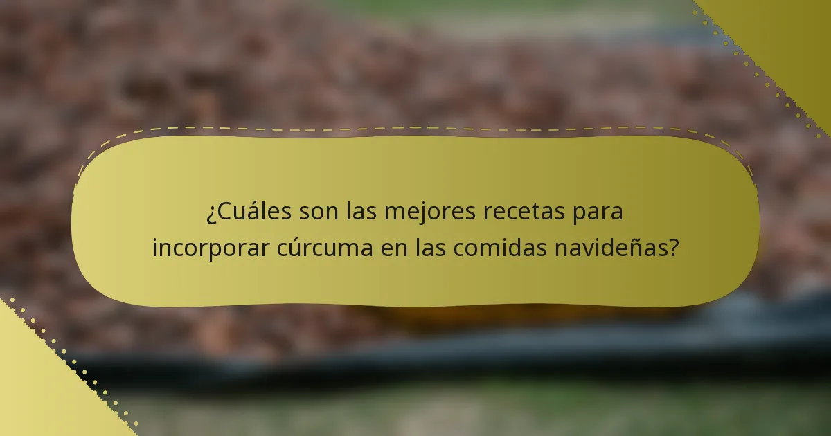 ¿Cuáles son las mejores recetas para incorporar cúrcuma en las comidas navideñas?