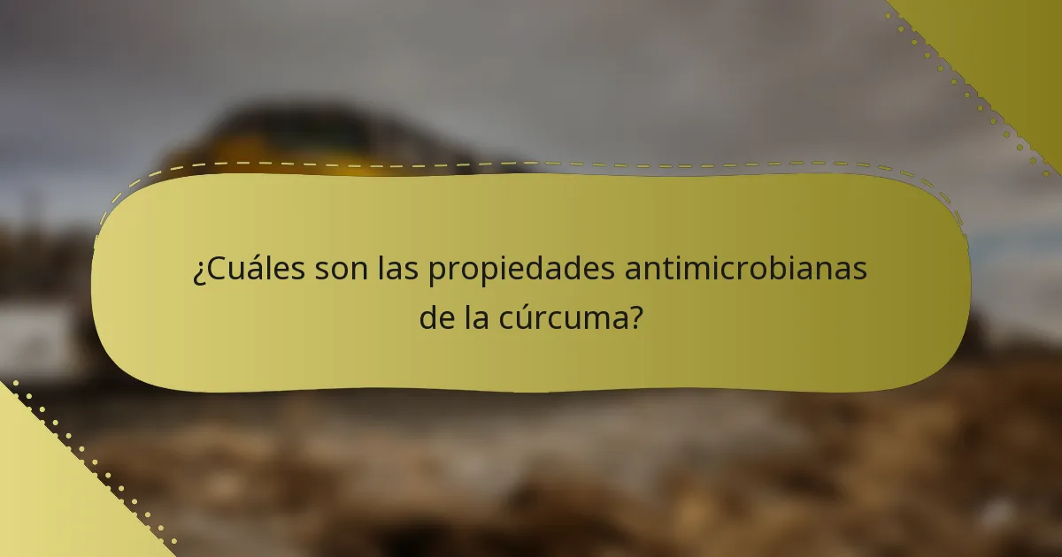 ¿Cuáles son las propiedades antimicrobianas de la cúrcuma?