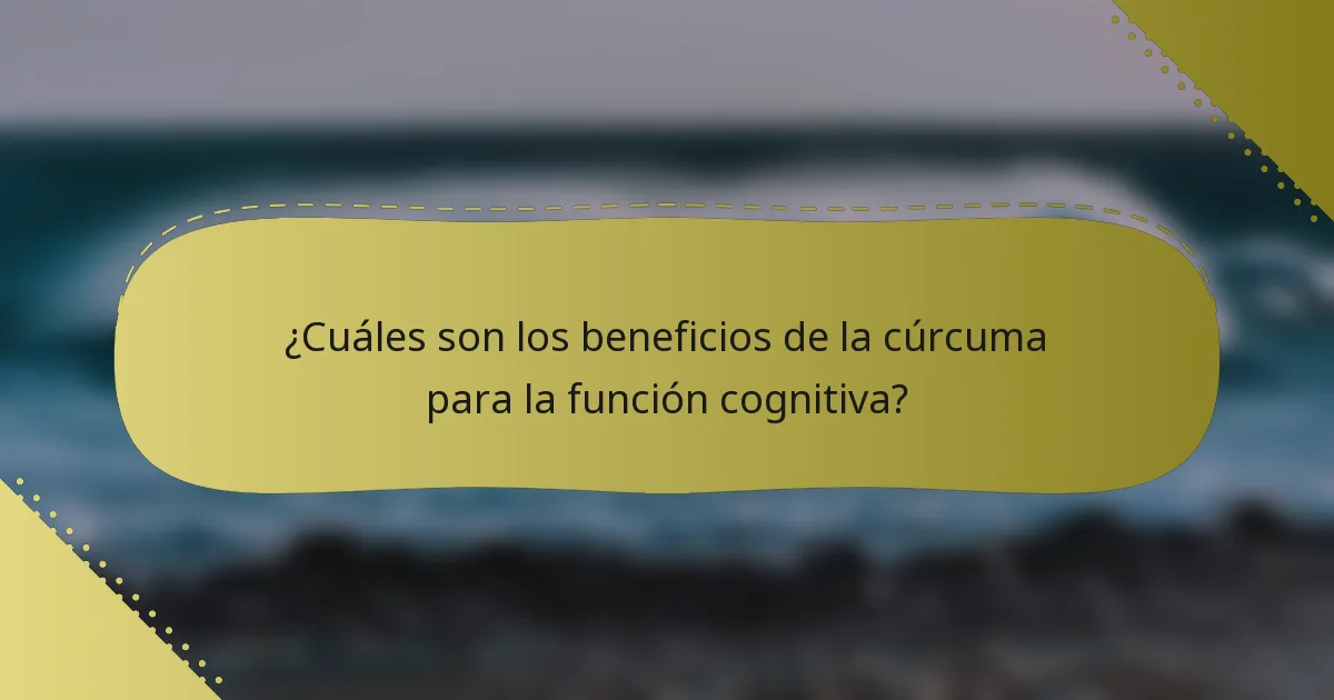 ¿Cuáles son los beneficios de la cúrcuma para la función cognitiva?