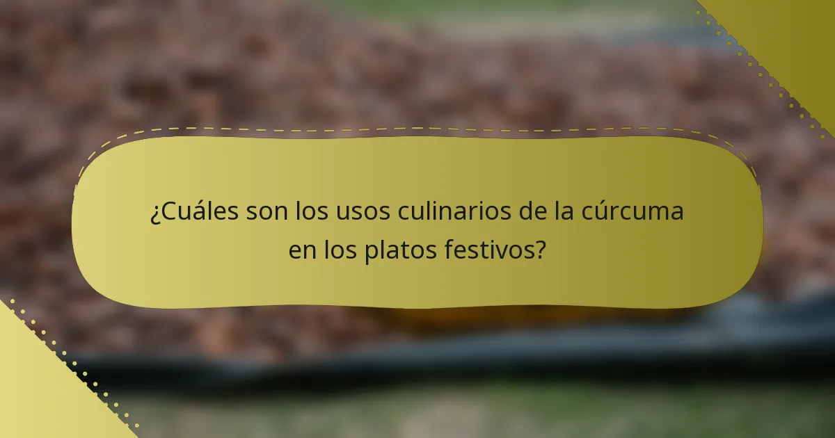 ¿Cuáles son los usos culinarios de la cúrcuma en los platos festivos?