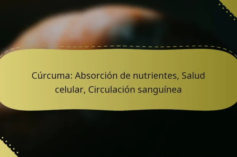 Cúrcuma: Absorción de nutrientes, Salud celular, Circulación sanguínea