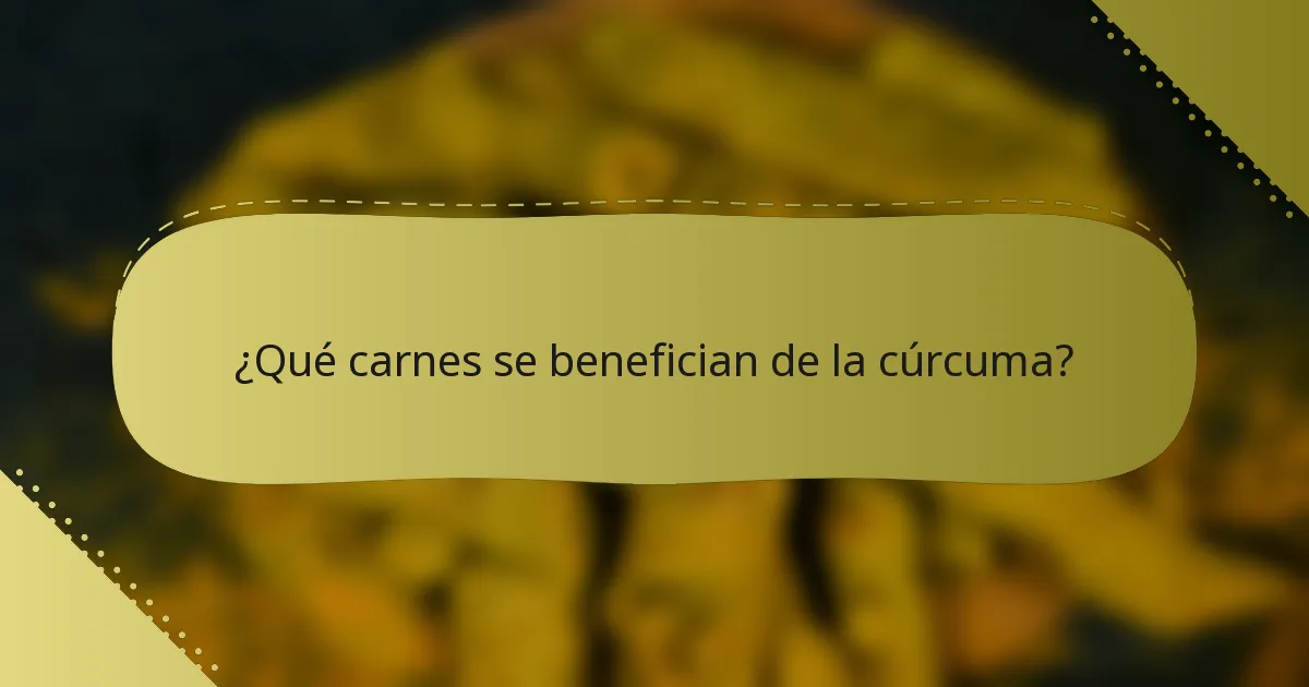 ¿Qué carnes se benefician de la cúrcuma?